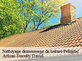 Nettoyage demoussage de toiture