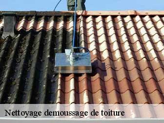 Nettoyage demoussage de toiture 43150