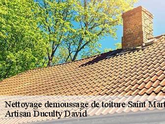 Nettoyage demoussage de toiture