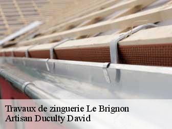 Travaux de zinguerie 43370