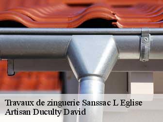 Travaux de zinguerie
